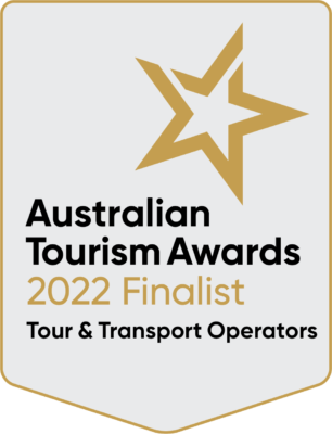12. Tour and Transport Operators 12. Tour and Transport Operators