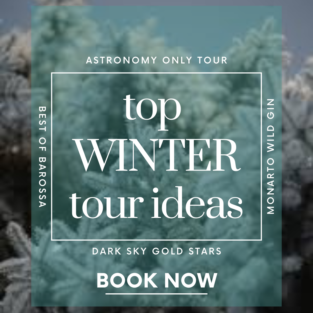 Top Winter Tour ideas Top Winter Tour ideas
