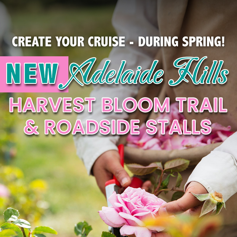 Home-Page-Tile---Harvest-Bloom-Trail